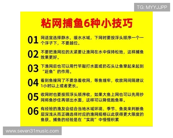 如何利用PA捕鱼图提高捕鱼成功率，实用技巧全攻略分享